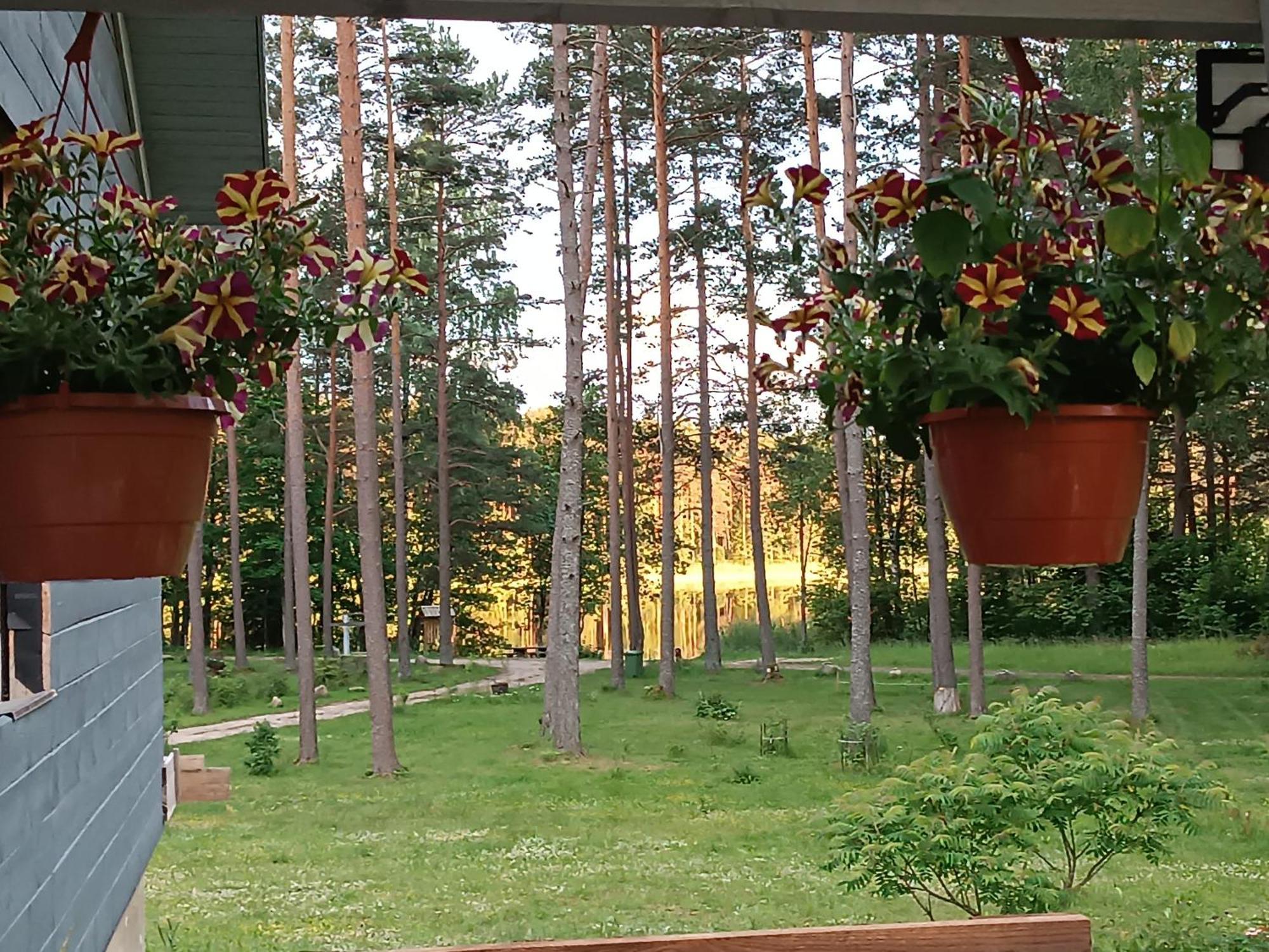 Dreamcatcher Straupe Exterior foto